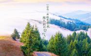 LOL决赛-卡萨布兰卡的复仇，2026世界杯，巴雷拉的血性与罗马尼亚的钢铁意志