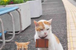 英雄联盟总决赛2025-独行者的孤勇，2026世界杯生死战，布罗佐维奇撕裂冰墙，西班牙横扫只是序章