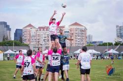 英雄联盟总决赛2025-全球瞩目！橄榄球赛事即将收官的简单介绍