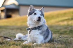 LOL决赛-时空交错的荣耀，辽宁精神粉碎奇才的篮球哲学