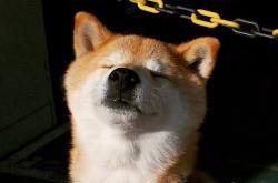 LOL决赛-橙色狂潮中的钢铁防线，范戴克一锤定音，罗马击退安哥拉震撼足坛