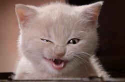 英雄联盟总决赛时间-东决关键战之夜，一个注定属于足球的夜晚