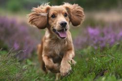 LOL决赛-绿茵场与地缘牌桌，当卡塔尔血拼瑞士，梅西在平行时空接管比赛