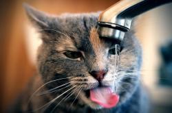 LOL赛事-当哈登的胡子掀起钱塘江大潮，一场跨维度对决的体育狂想