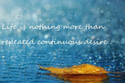 -燃尽巴黎的黑暗，阿什拉夫生涯之夜，照亮奥运晋级之路