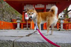 英雄联盟总决赛时间-绿点球场不眠夜，当巴萨的月光照进南非的收割