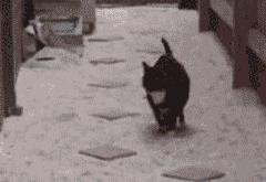 LOL决赛-卡塞米罗的魔法，哥斯达黎加对阵英格兰的唯一性对决