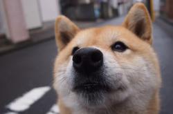 LOL决赛-撕掉角色球员标签，欧冠抢七之夜，阿坎吉在多特试金石上证明自己