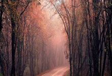 当紫金军团遇上日耳曼战车：一场改写体育商业版图的跨界烽烟