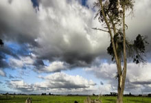 金色眼泪沸腾时：当勇士梦断奥运，球迷的呐喊震碎星空