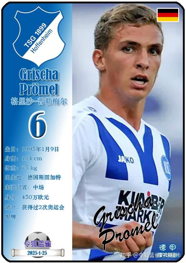 关于霍芬海姆新赛季目标明确，欲在德甲联赛取得突破的信息