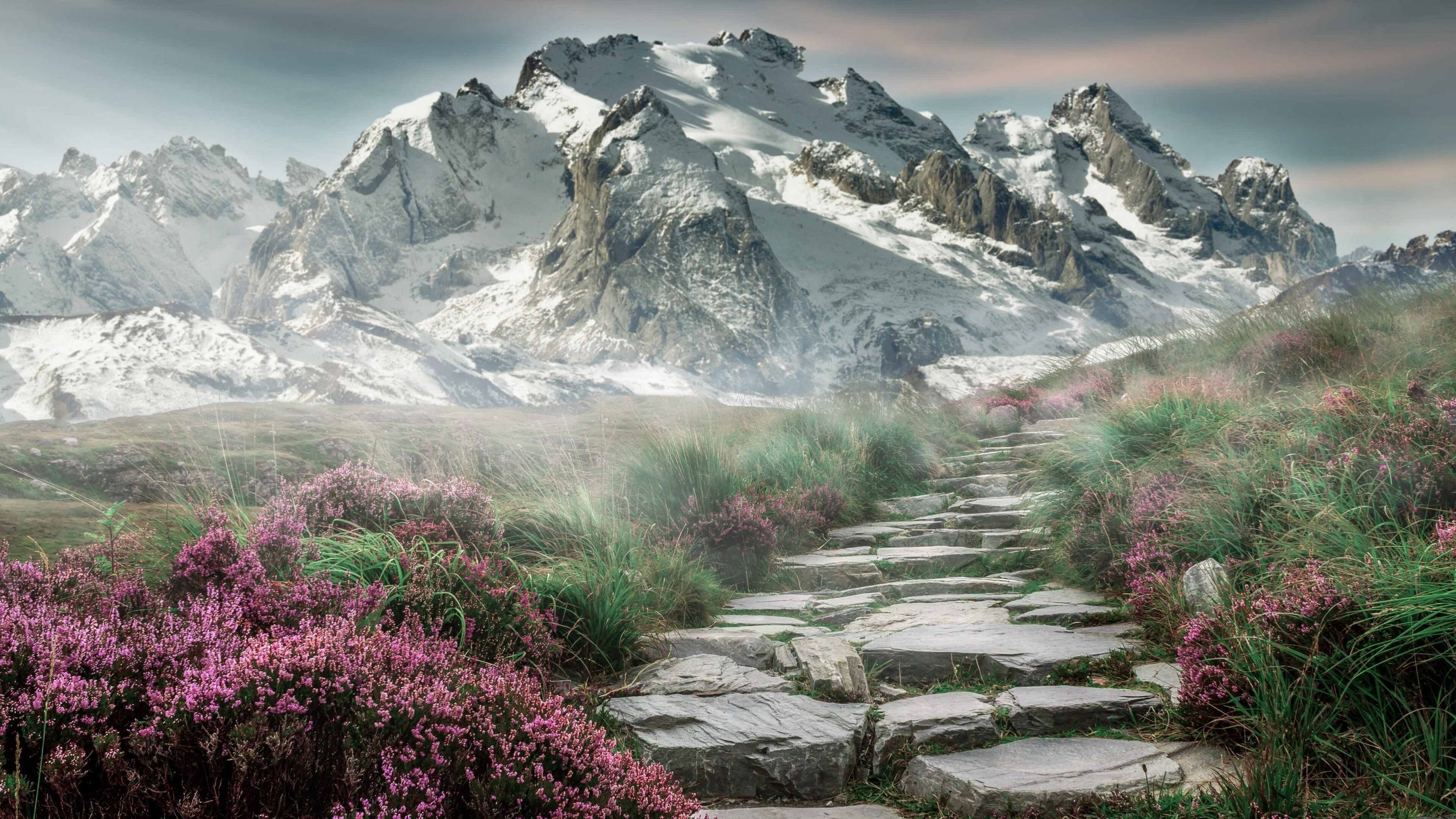 跨越万里的魔笛与楚河汉界—当楚阿梅尼在足球的诗意中重塑焦点