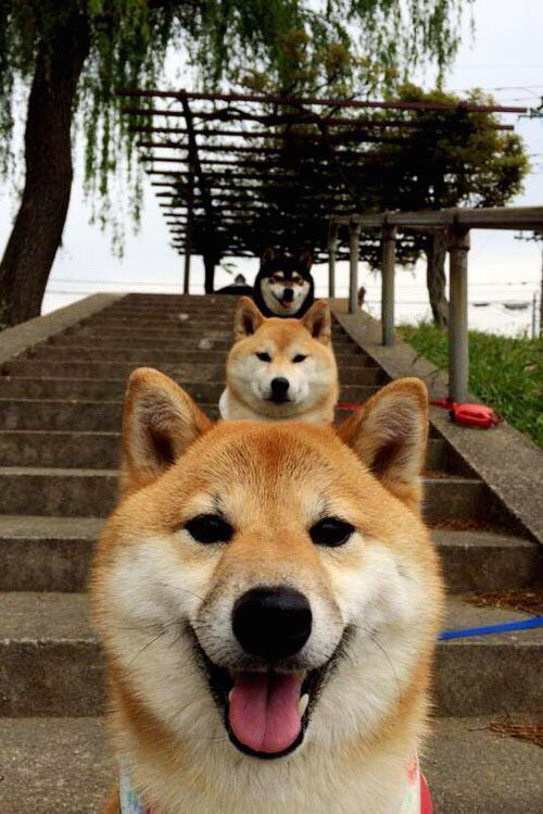 欧陆烽火,里昂全面压制马里,福登于德甲争冠战接管比赛