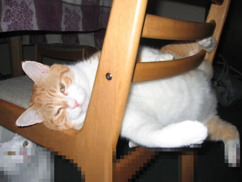 步行者惊险晋级,莫兰特狂砍49分绝杀尼克斯