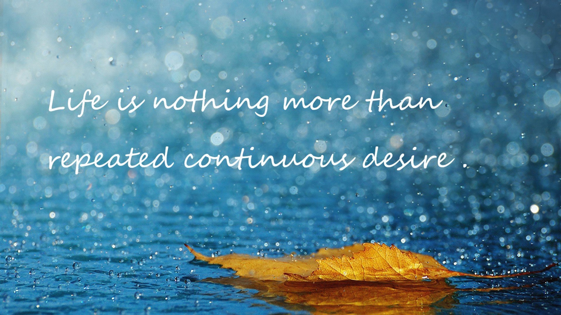 燃尽巴黎的黑暗，阿什拉夫生涯之夜，照亮奥运晋级之路