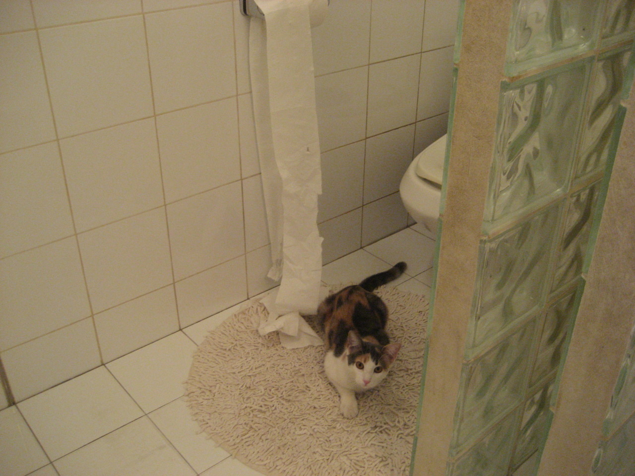 唯一绿茵场,永恒棋盘—摩洛哥如何用团队足球的智慧收割比利时