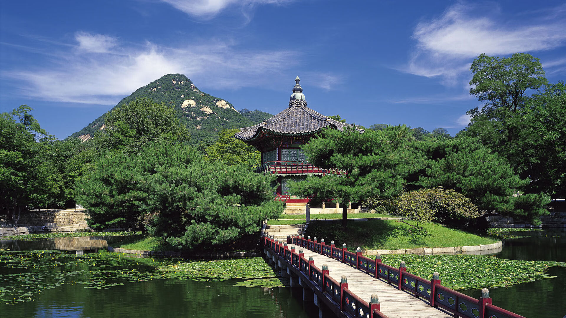 黑翼之下，马丁内利于阿布扎比之夜的加冕序曲