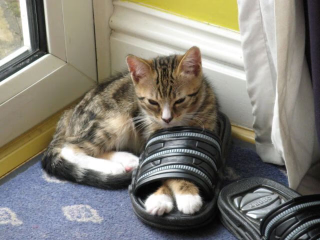 湖人之浪席卷费城，恩比德的失败关键性哲学