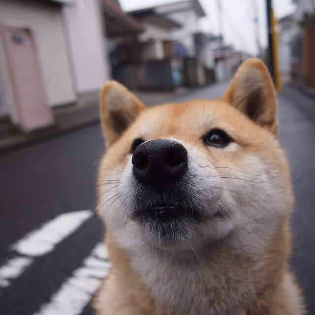 撕掉角色球员标签,欧冠抢七之夜,阿坎吉在多特试金石上证明自己
