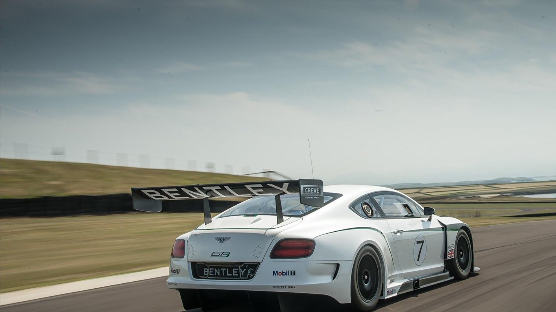 冷门与关键先生,沙特战术纪律与加克波现象级爆发的世界杯启示录