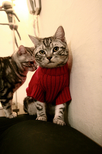 暗夜中的齿轮，当萨卡的里程碑画破尤文与马竞的宿命寒风