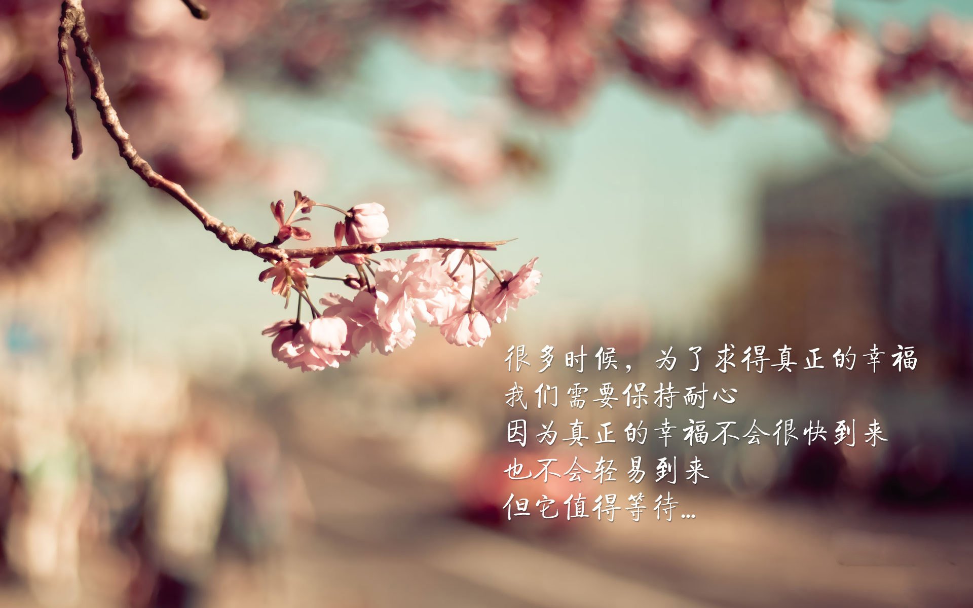 沙漠绿洲与天蓝狂想，2026世界杯F组，拉什福德为乌拉圭点亮唯一征途