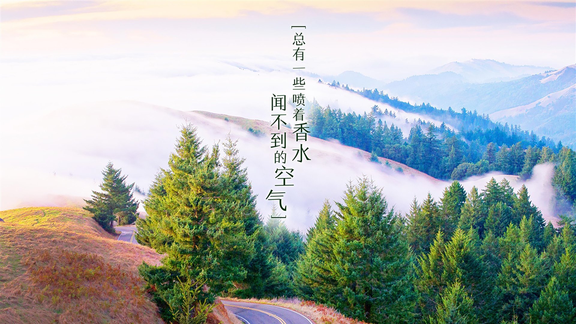 卡萨布兰卡的复仇，2026世界杯，巴雷拉的血性与罗马尼亚的钢铁意志